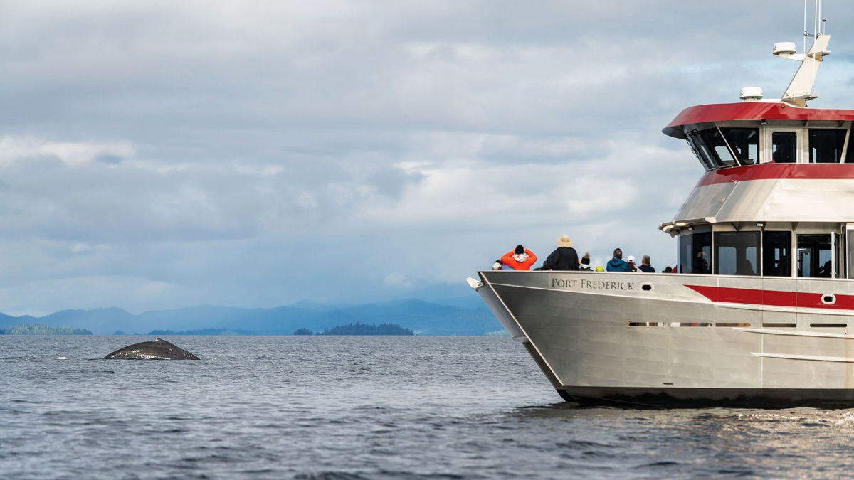 In Alaska, Klawock Island’s success comes quicker than expected